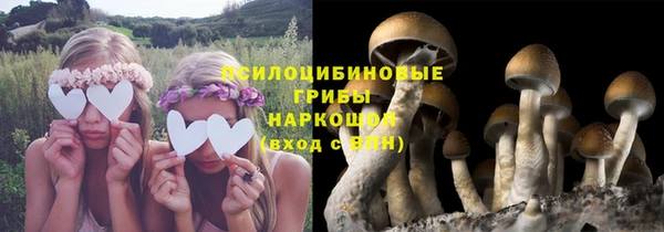 apvp Волоколамск