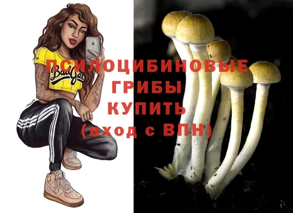 apvp Волоколамск