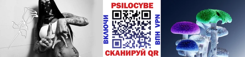 Купить где  Бодайбо  Псилоцибиновые грибы прущие грибы 