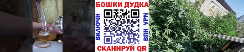 Каннабис план  Купить где  Бодайбо 